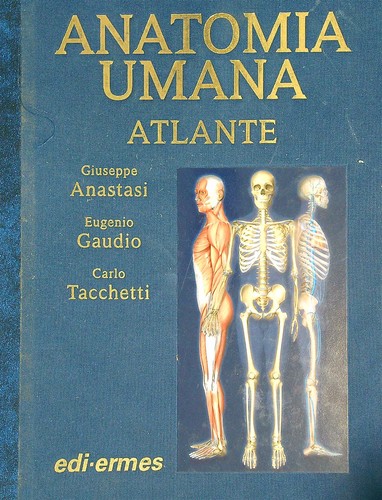 Anatomia umana atlante - umana,