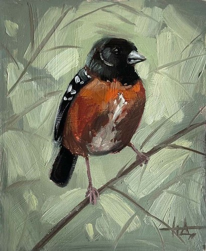 Dipinto olio bird - dipinto,