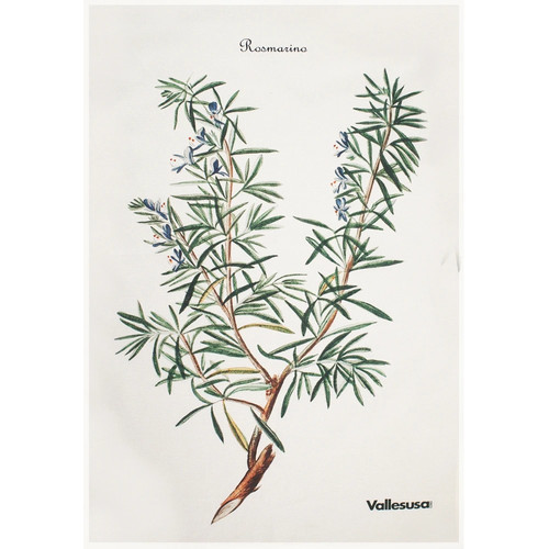 Canovaccio cucina vallesusa - canovaccio,