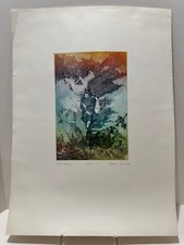 Acquaforte a colori firmata