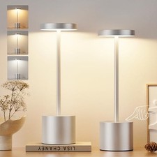  Silver Gray Cordless Lamp