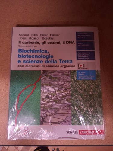 Carbonio gli enzimi il - gli, enzimi,