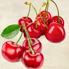 Quadro Frutta Ciliegie Stampa