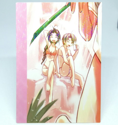 031 puzzle tore hina love - hina,