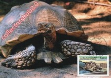 LIBYA 1979 Turtles Testudo "Geochelone sulcata" Reptiles (maximum-card)