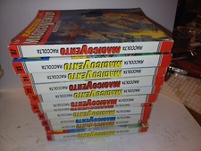 Magico Vento raccolta  12