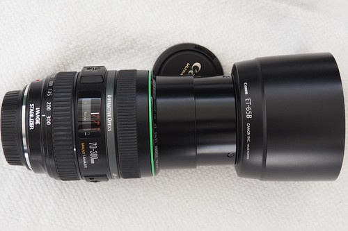 Canon 300mm 5 6 - canon, do