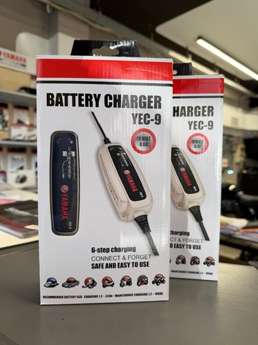 Mantenitore carica batteria - di,