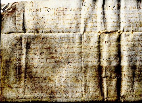 1625 pergamena manoscritto - 1625,