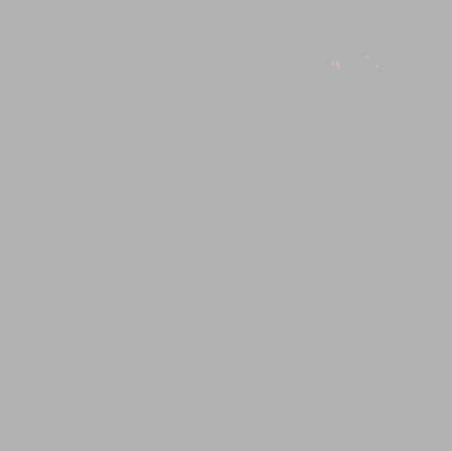 Prl grigio grey gray - gray, bd