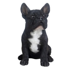 Bulldog Francese Nero Con