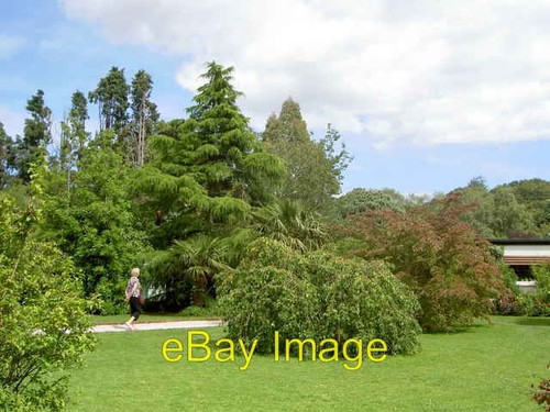 Photo 6x4 mount - photo,