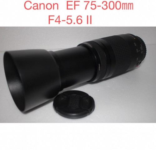 Canon teleobiettivo - canon, /