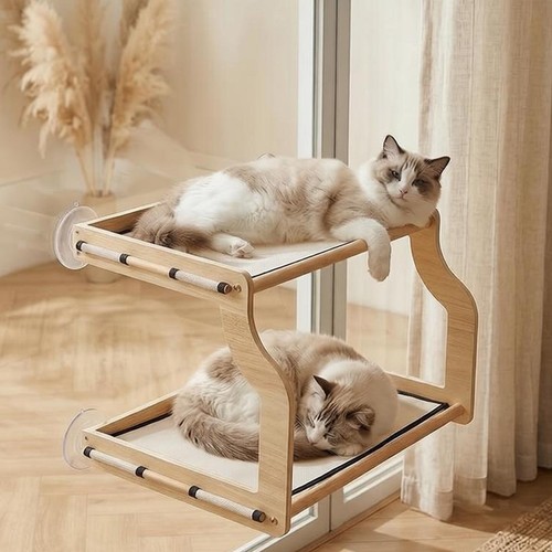 Cuccia per gatti - da, finestra