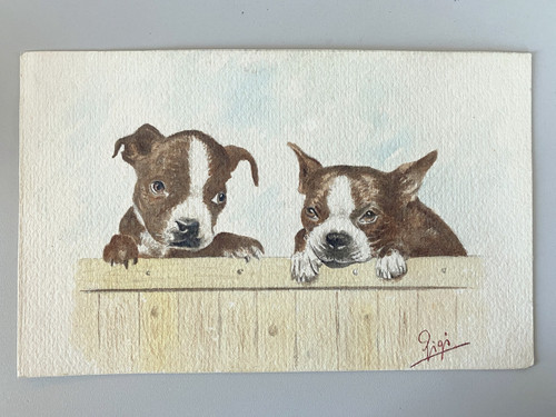 Disegno acquerello cartoncino - disegno,