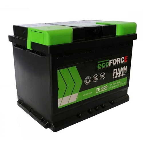 Batteria fiamm tr600 60ah - fiamm,