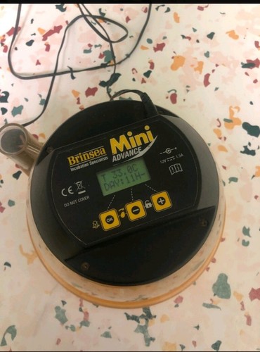Incubadora brinsea mini - incubadora,