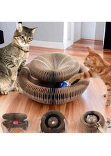 Accordion Magic Organ Cat