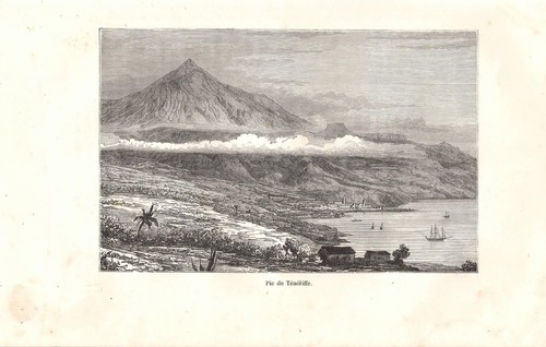 Stampa antica tenerife - stampa, isole