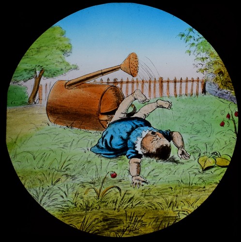 Baby wasp puppies - wasp, c1890
