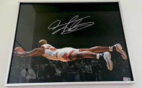 Dennis rodman foto - dennis,