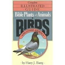 Complete illustrated giode - illustrated,
