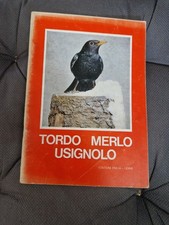 Tordo Merlo Usignolo Abitudini