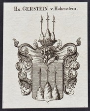 Gerstein V. Hohenstein Stemma Stemma Nobiliare Incisione In Rame Araldica 1820