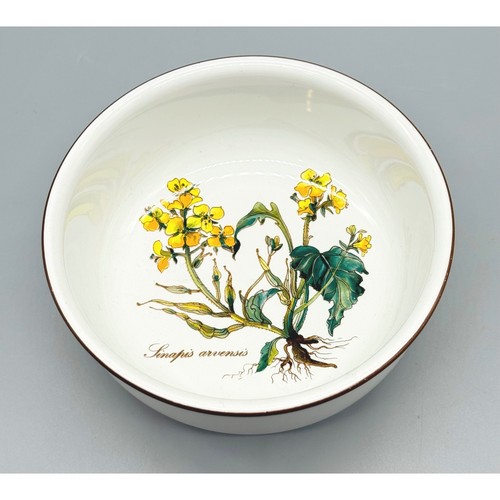 Villeroy boch botanica fruit - boch,