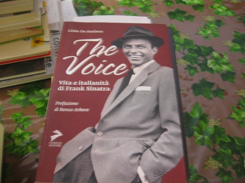 The voice 2011 - voice, coniglio
