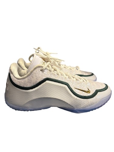 Nike lebron from this point - nike,