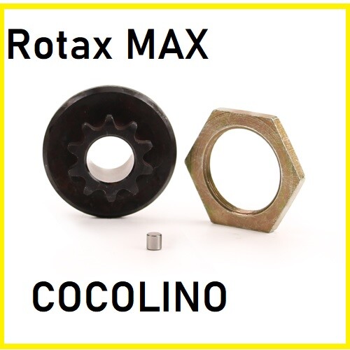Kart rotax max - pignone, motore