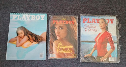Playboy calendar 2013 2014 - playboy,