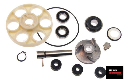 Kit revisione pompa acqua - revisione,