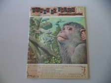 TUTTE LE FIABE - FRATELLI