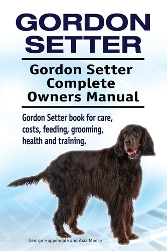 Gordon setter - gordon, setter.