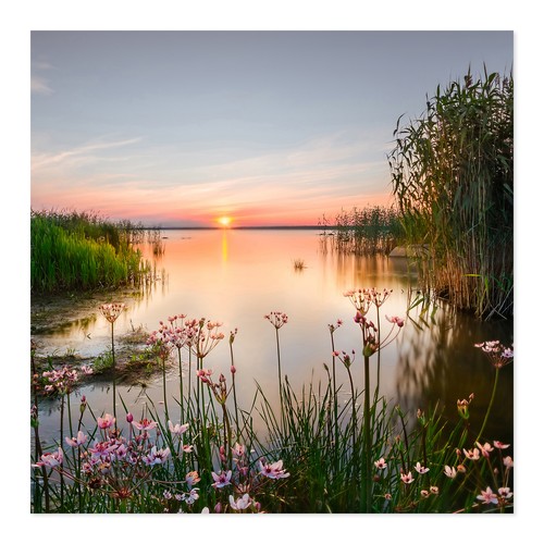 Postereck 4023 poster - , tela
