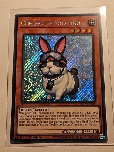 Rescue rabbit secret - rescue,
