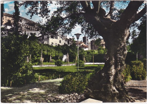 Palestrina roma giardino - -,
