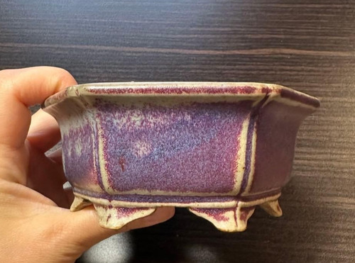 Vaso per bonsai giapponese
