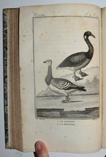 UCCELLI - fig. 1801 - BUFFON -