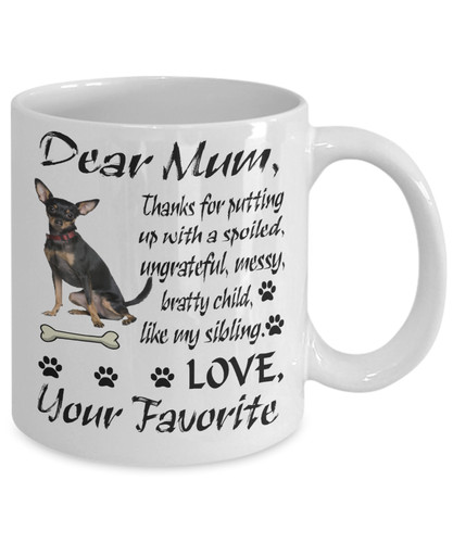 Pinscher miniatura cane - in,