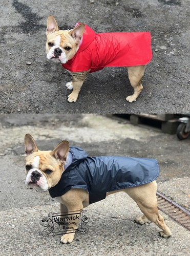 Bulk deal cappotto - deal,