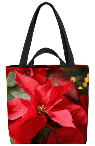 Fiori stella natale - natale, piante
