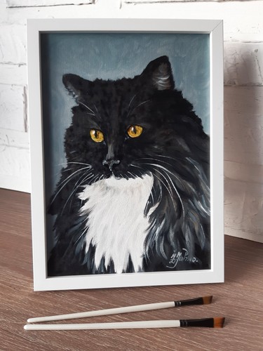 Tuxedo gatto pelo lungo
