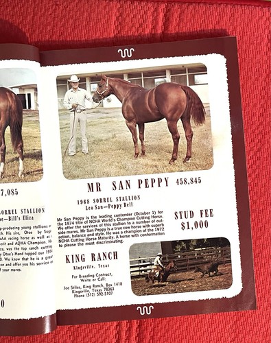 Wow 1974 quarter - wow!!, horse