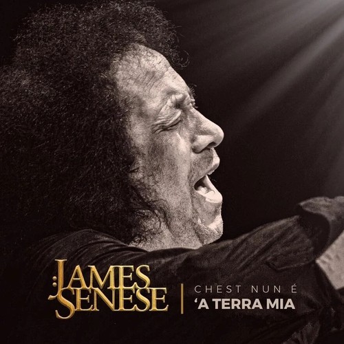James senese chest nun a - senese,