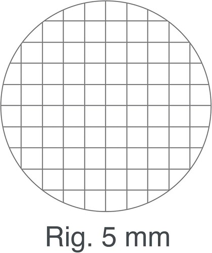 Quaderno formato quadretti - quaderno,