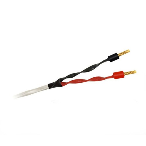 Cavo altoparlante wireworld - cavo,