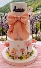 Torta Scenografica Compleanno